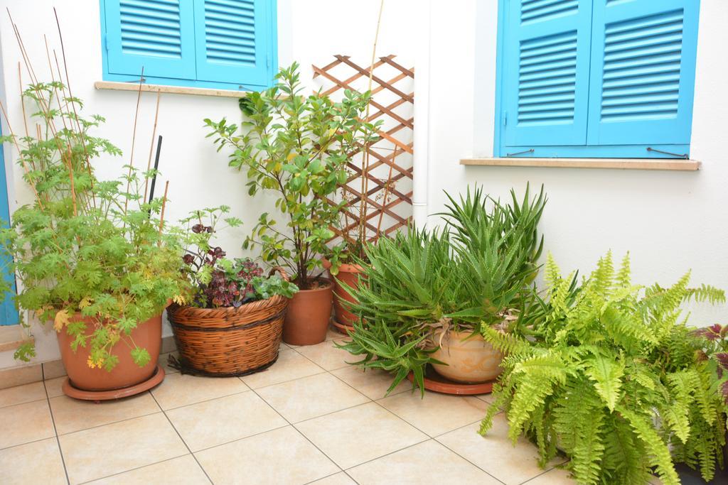 Cypriot Swallow Boutique Hotel Nikosia Bagian luar foto