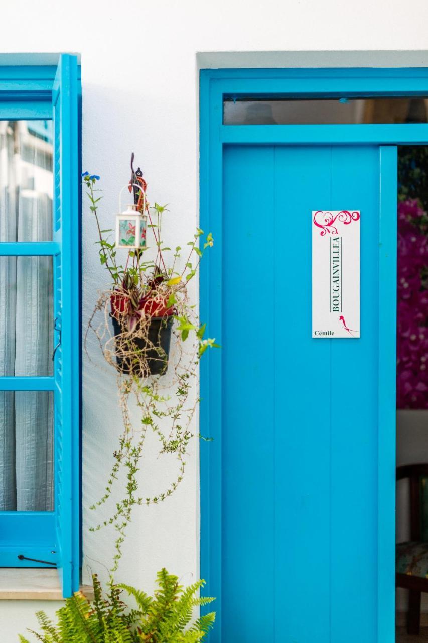 Cypriot Swallow Boutique Hotel Nikosia Bagian luar foto